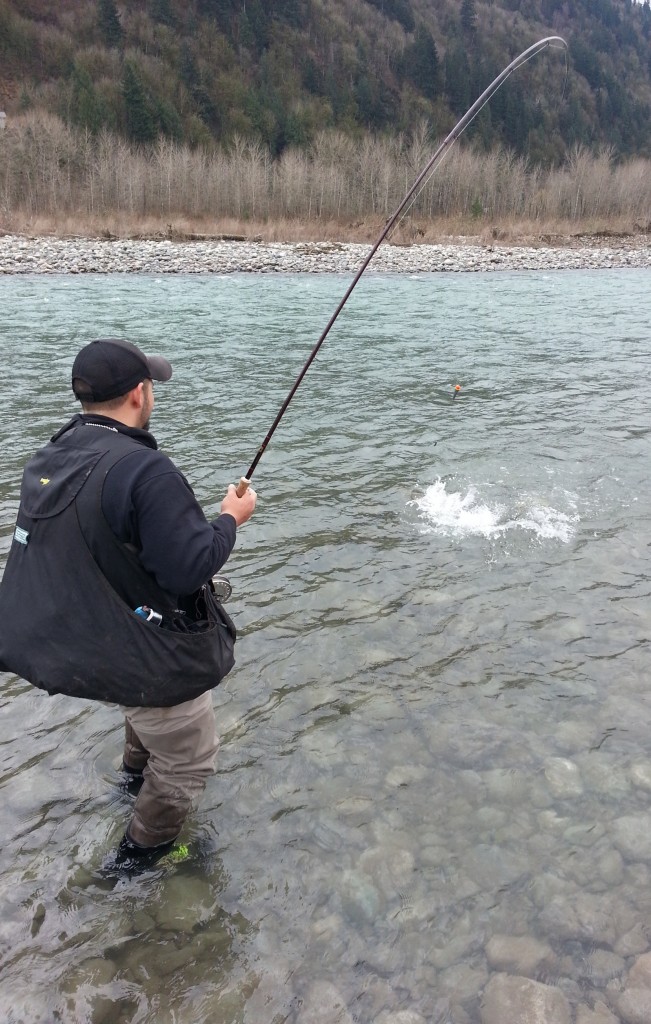 The thrill of fighting a strong steelhead is what it is all about.