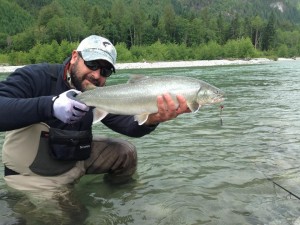 nice bull trout!