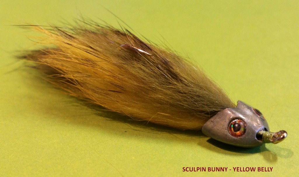 sculpin bunny_yellow belly