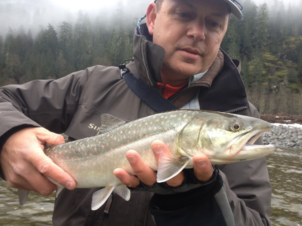 A nice bull trout caught in the latter part of the week.