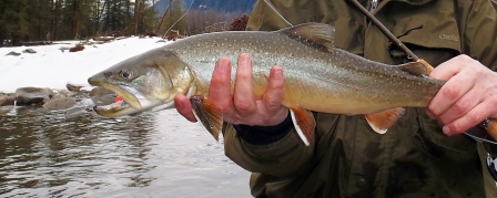 fly_fishing_Vancouver