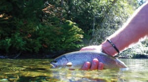 course-intro-to-fly-fishing-trout-streams-01