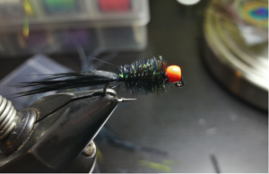Bryce pict - black fly with orange bead