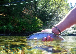 Pacific_Angler_Introduction_To_Fly_Fishing_Trout_Streams