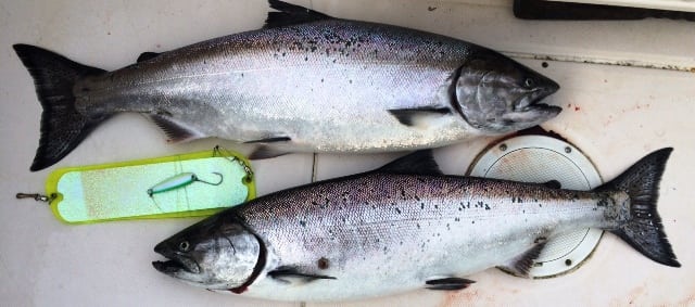 Vancouver Winter Chinook Gear