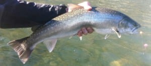 Pacific_Angler_Guided_Fly_Fishing_Trips_Squamish