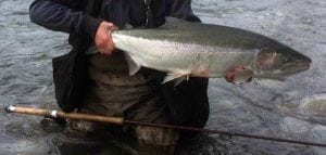 Pacific_Angler_Chilliwack_River_Guided_Trips