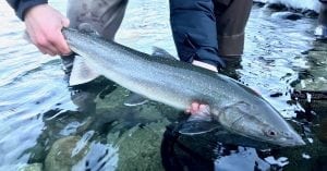 Squamish_Fishing_Trips