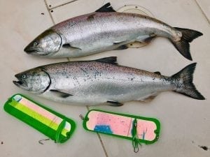 Thrasher_Rock_Salmon_Fishing