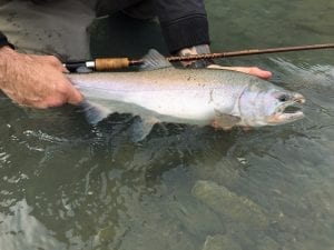 Squamish_River_Guided_Fishing_Trips