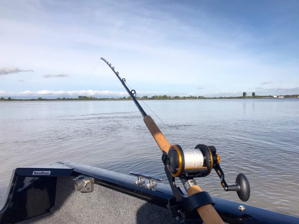 Sturgeon_Fishing_Trips_Vancouver