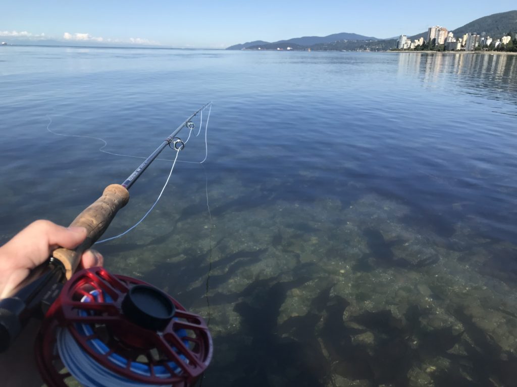 Coho_Beach_Fishing_Vancouver