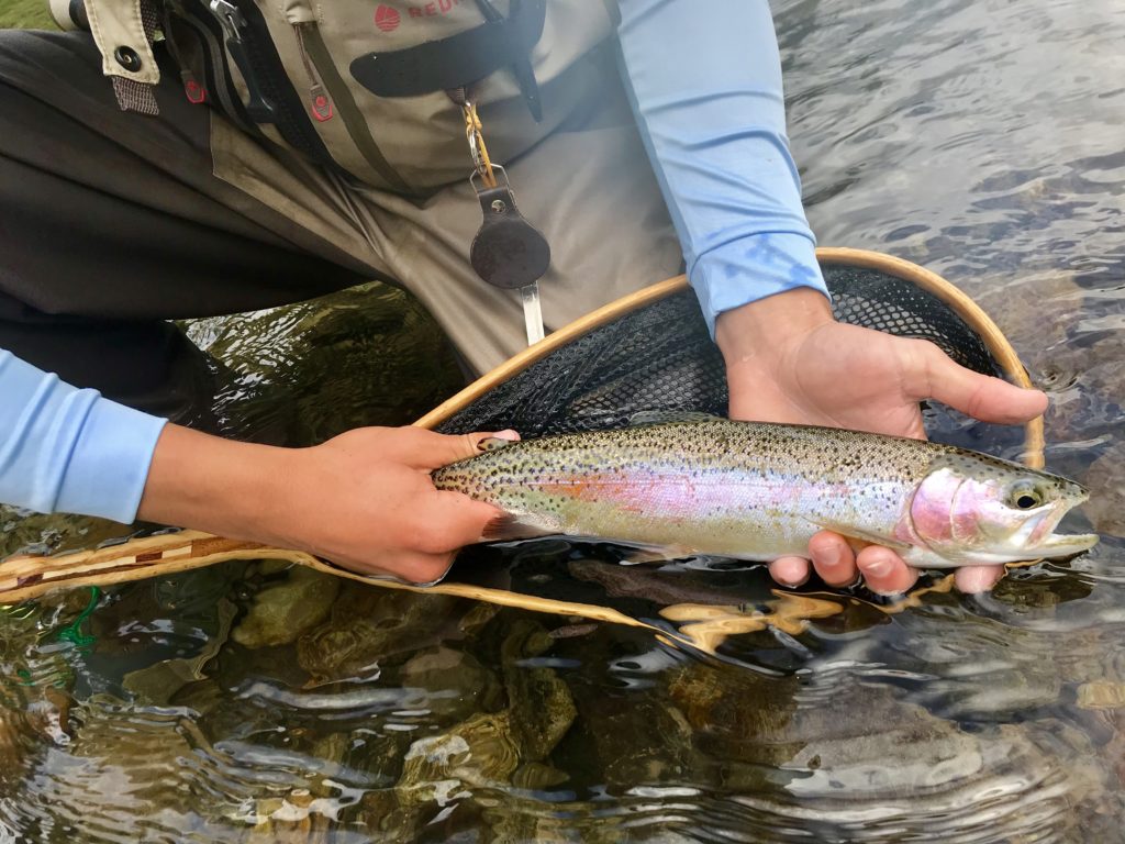 Skagit_River_Fly_Fishing