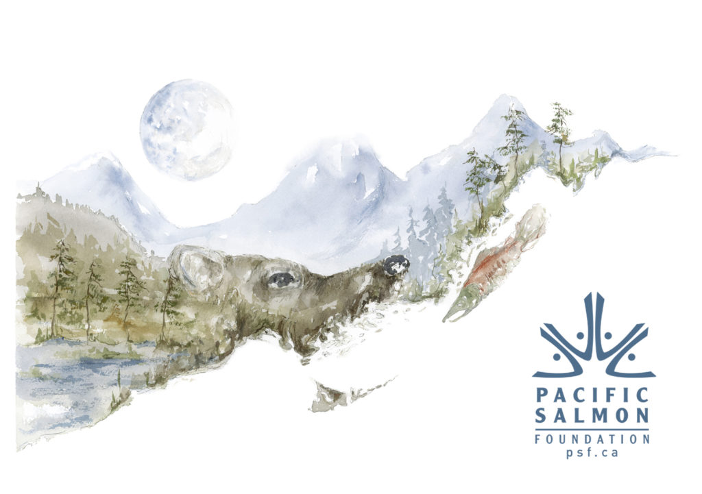 upstream_autumn_pacific_salmon_foundation