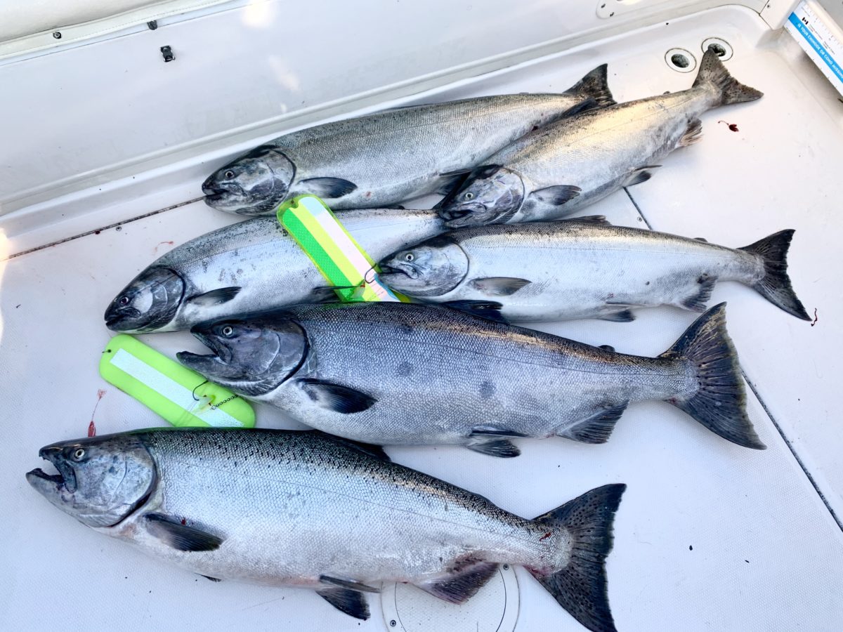 salmon_fishing_Vancouver