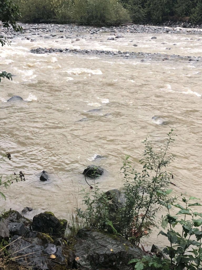 Vedder_River_Conditions_20.09.23