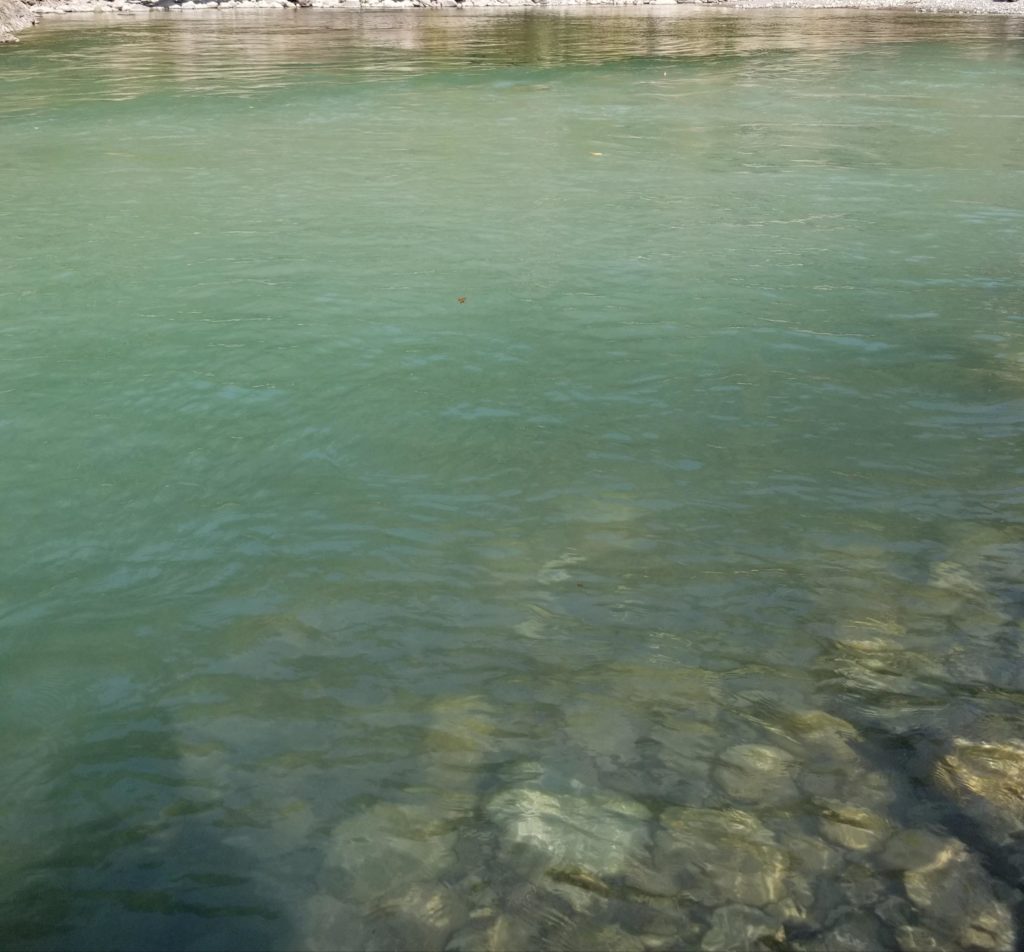 Vedder_water_condition_clear