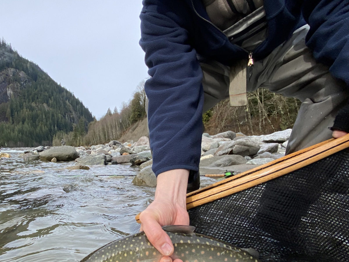 River_fishing_Squamish_Bull_Trout