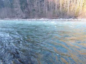 River_fishing_vedder_water_levels_Ranger_Run