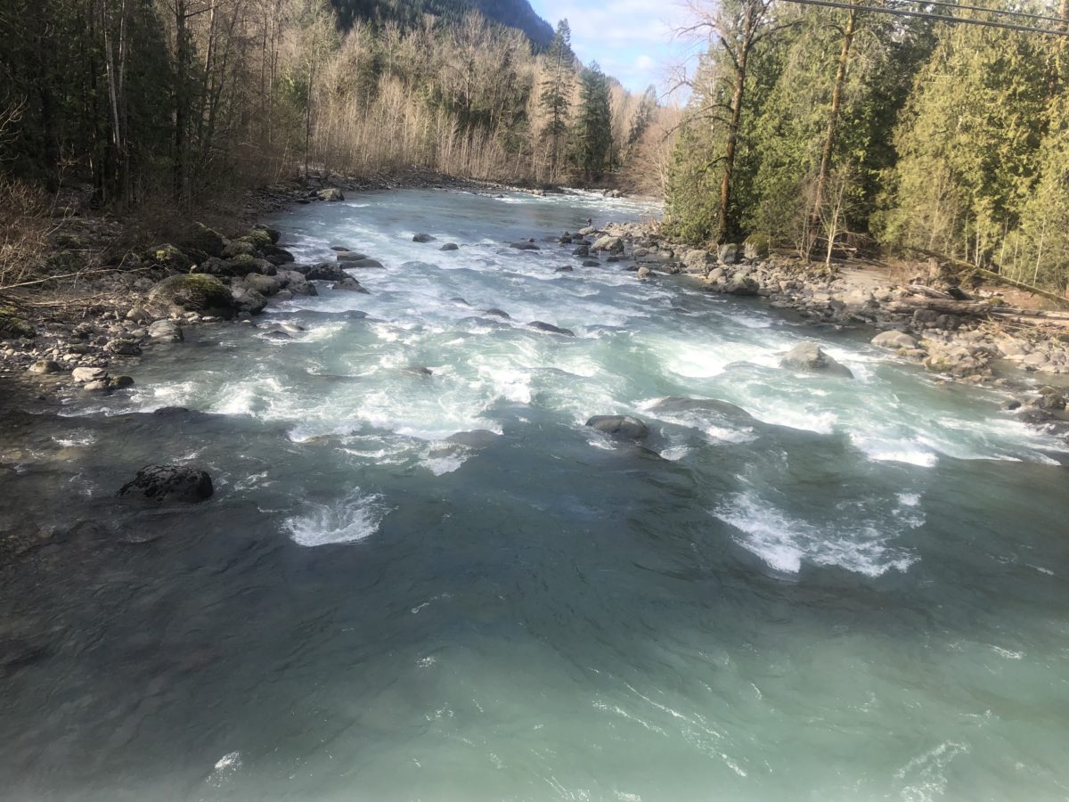 River_fishing_Vedder_river_Feb '21