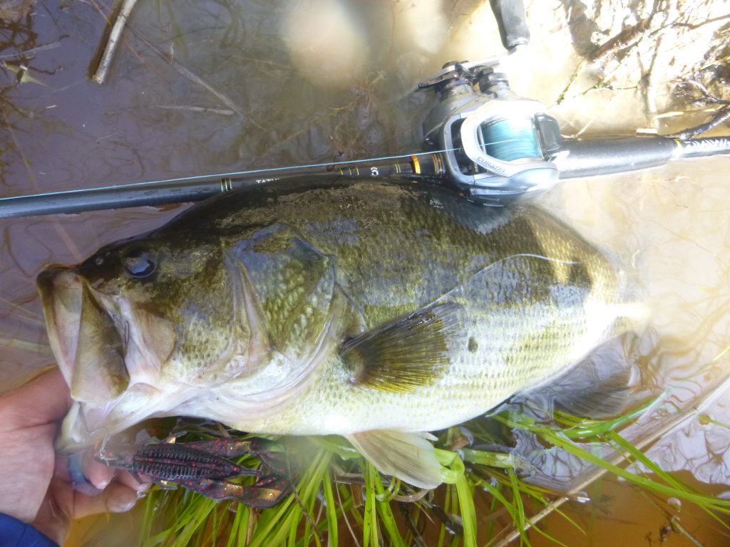 lake_fishing_craw_caught_bass