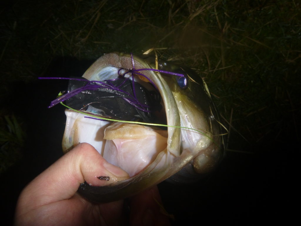 freshwater_fishing_bass_hollow_body_frog_lure