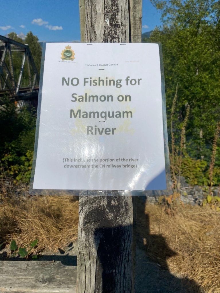 river_fishing_Mamquam_closure_July'21