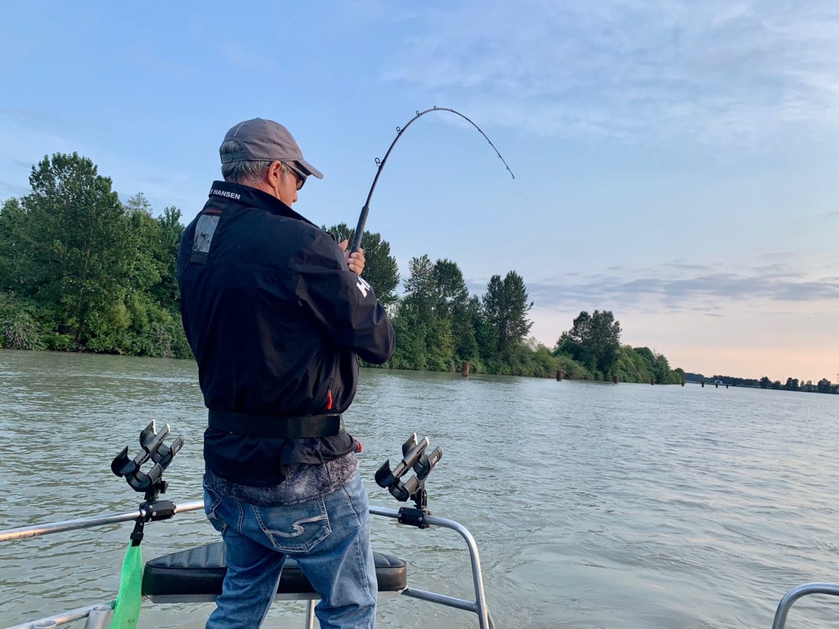 Sturgeon_Fishing_Vancouver
