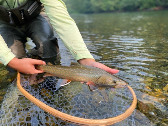 River_fishing_Skagit_Bull_Trout_olive_streamer