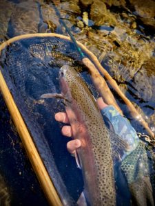 Skagit_river_trout_fly_fishing_Aug'21