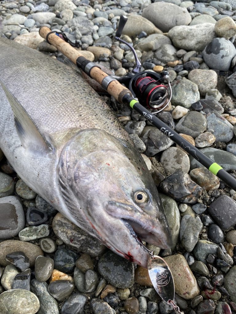 River_fishing_Capilano_Chinook_Oct'21