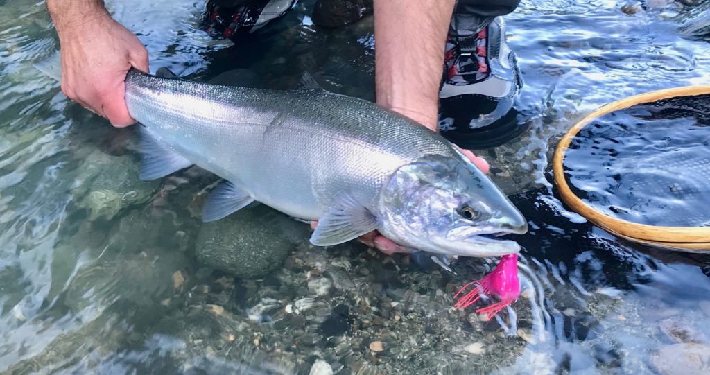 river_fishing_Squamish_Coho_Twitching_Oct'21