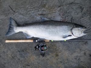 River_fishing_Vedder_Chinook_Oct'21