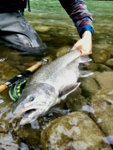 river_fishing_Squamish_Bulltrout_Oct'21