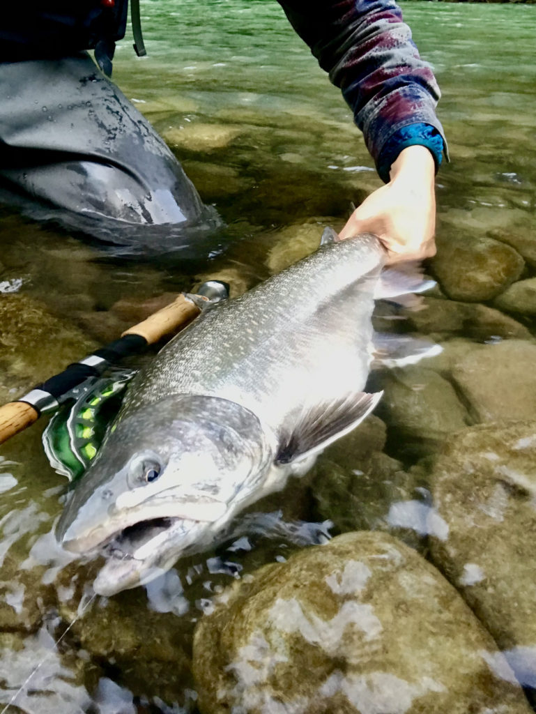river_fishing_Squamish_Bulltrout_Oct'21