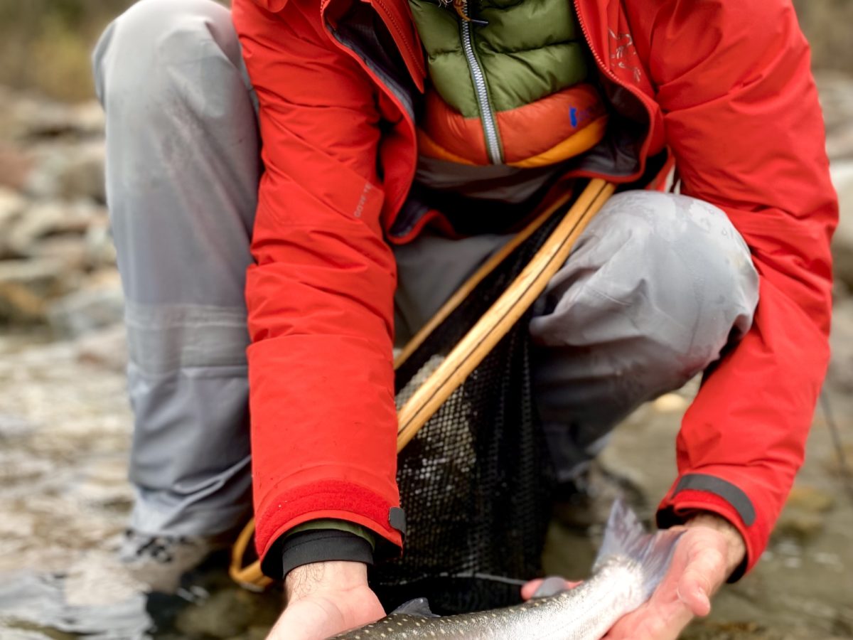 River_fishing_Squamish_Bulltrout_egging_Nove'21