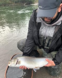 River_fishing_Squamish_winter_Bulltrout_Jan'22