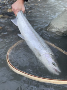 River_fishing_Vedder_Steelhead_Feb'22