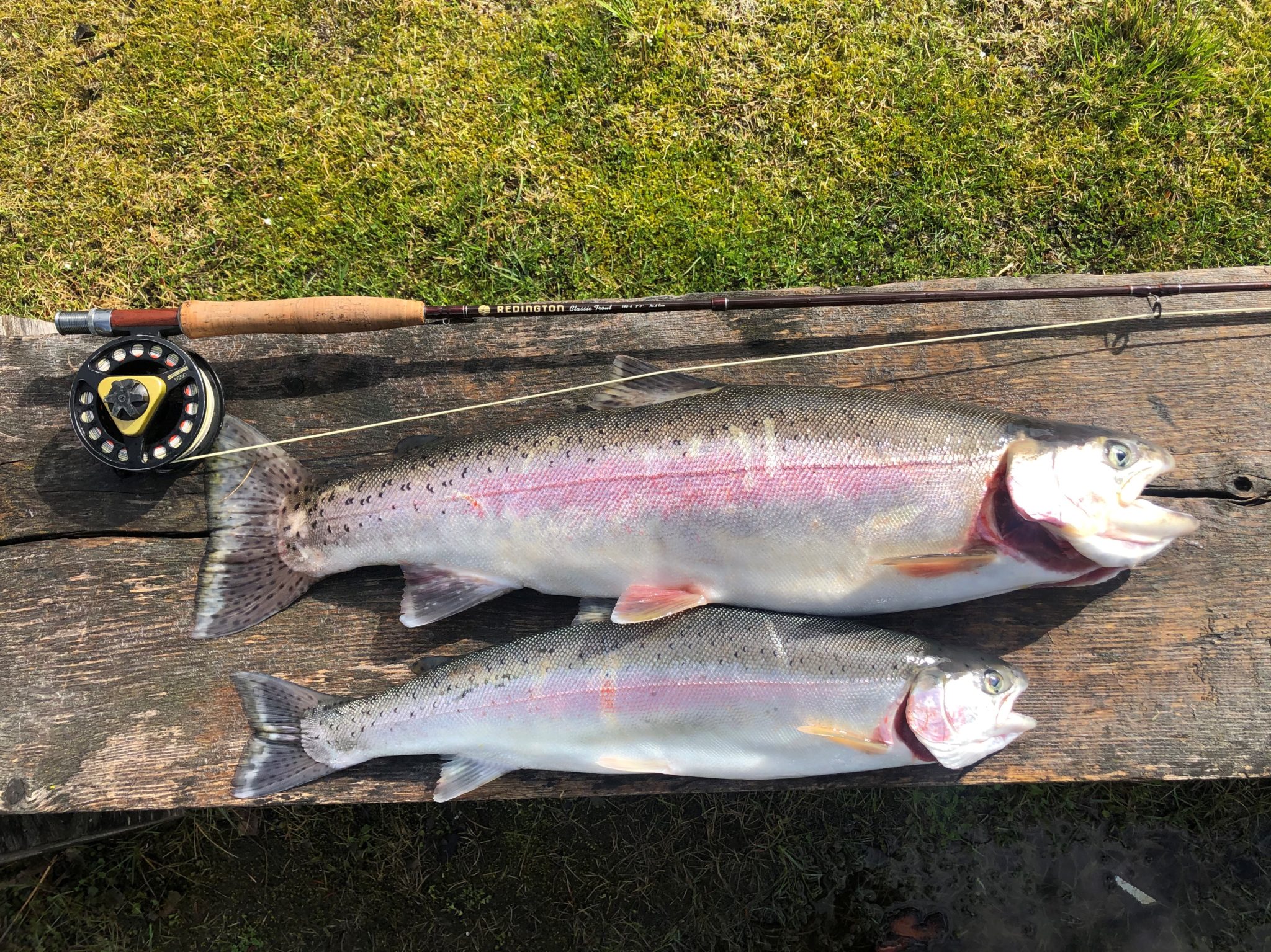 Pacific Angler Friday Fishing Report: March 25, 2022 - Pacific Angler