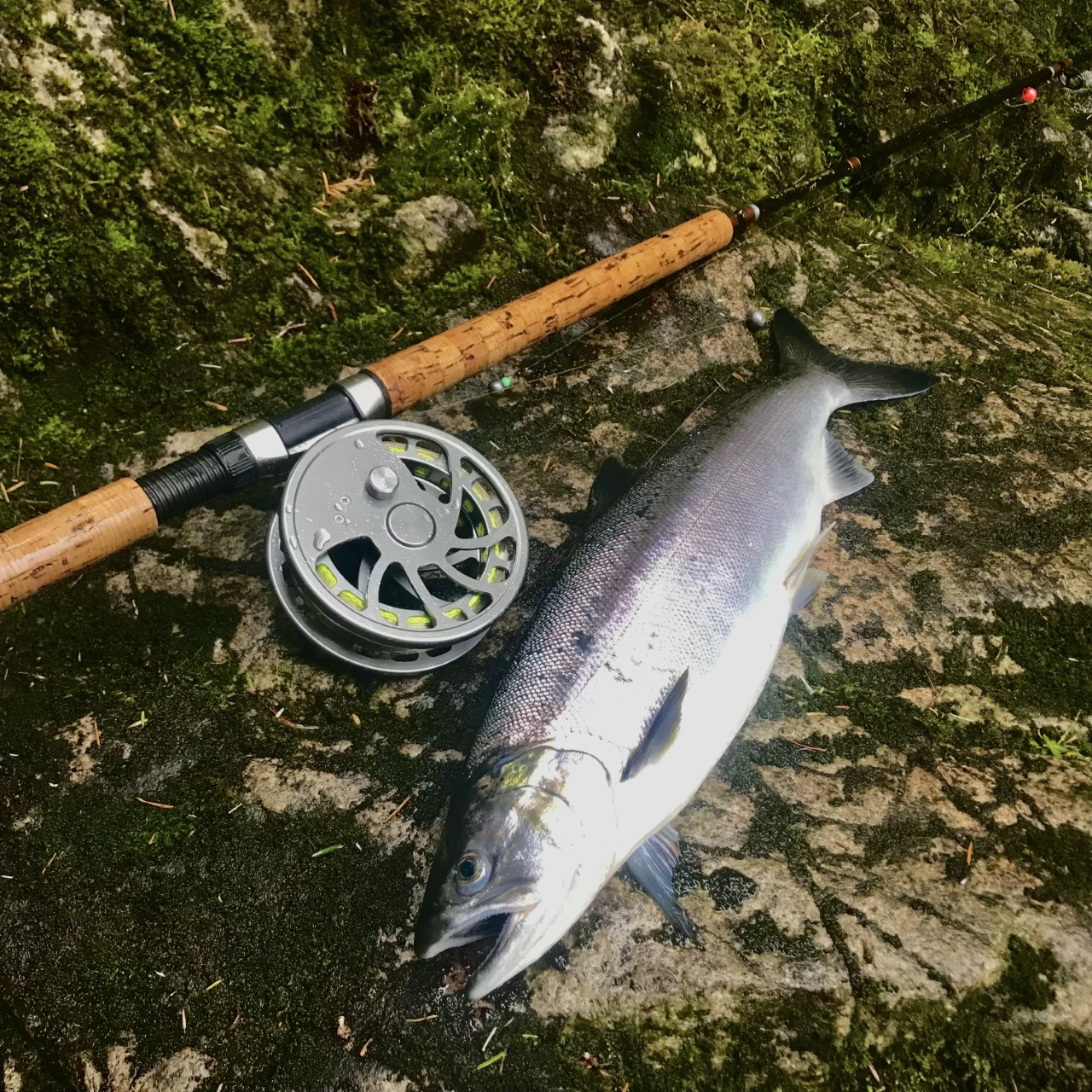 Pacific Angler Friday Fishing Report: July 8, 2022 - Pacific Angler