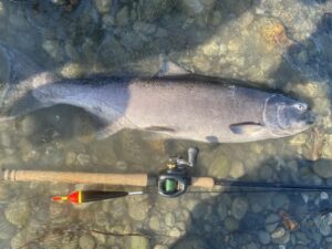 River_fishing_Vedder_summer_chinook_July'22