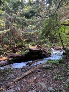 Skagit_river_trail_damage_July'22