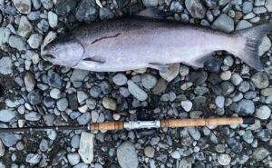 River_fishing_Vedder_summer_chinook_July'22