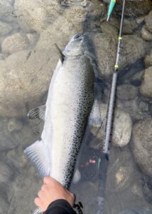 River_fishing_Vedder_Chinook_Sept'22