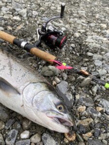 River_fishing_Vedder_terminal _tackle_spin_hoochie_Oct'22