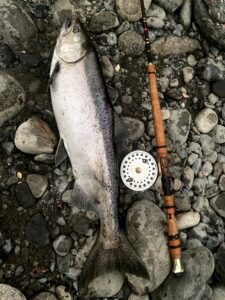 River_fishing_salmon_Vedder_Coho_Oct'22