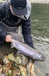 River_fishing_Squamish_Coho_Spinner_Nov'22