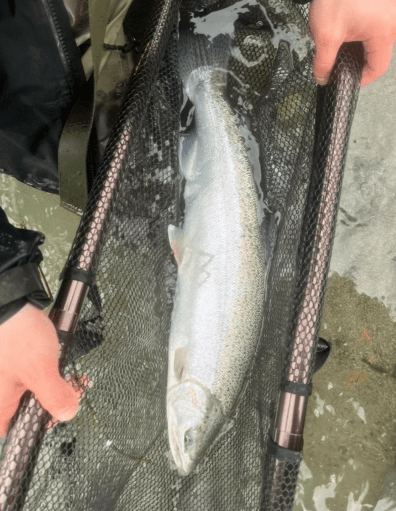 River_fishing_Chilliwack_steelhead_Jan'23