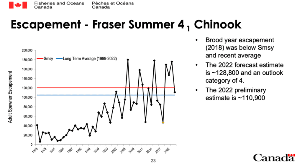 Fraser Summer 4.1