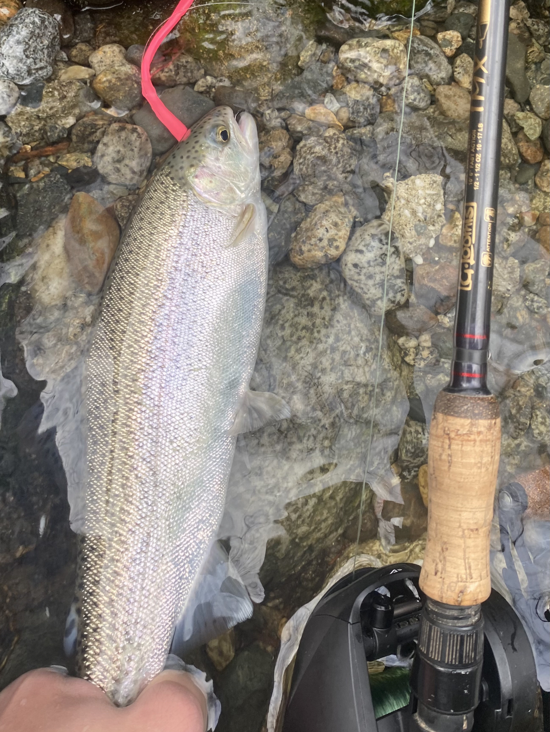 Pacific Angler Friday Fishing Report: March 10, 2023 - Pacific Angler